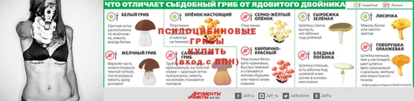 дживик Алексин