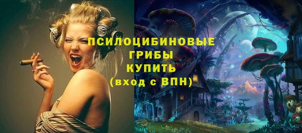 дживик Алексин