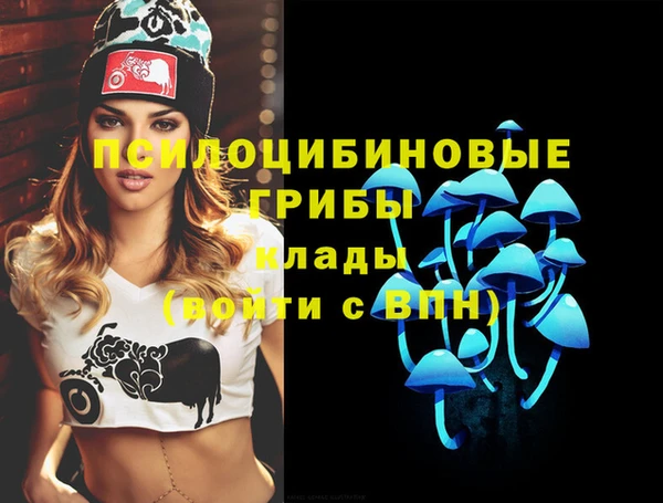 амф Алзамай
