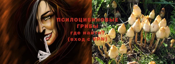 ешки Алексеевка