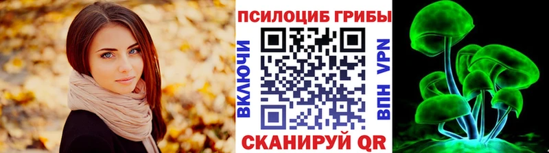 мега как войти  Шацк  Псилоцибиновые грибы прущие грибы 